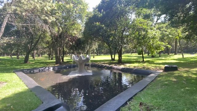 Walking Lotus flower fountain in Chapultepec park Mexico City смотреть онлайн