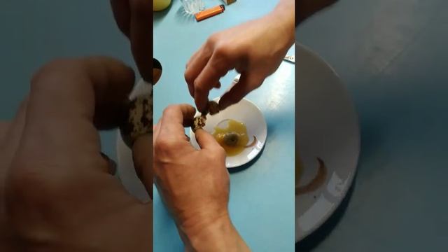 3 желтка в 1 яйце смотреть онлайн