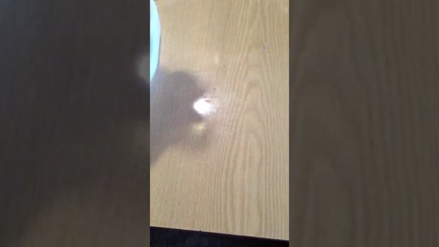 Утка Стар 53 62 дня забой смотреть онлайн