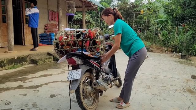 I knit cages, to keep chickens to go to the market to sell. (Episode 76). смотреть онлайн