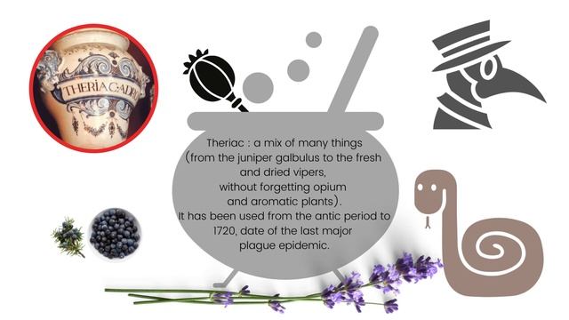 4- Common juniper - Juniperus communis L. - ENS Pérégrine – Venasque смотреть онлайн