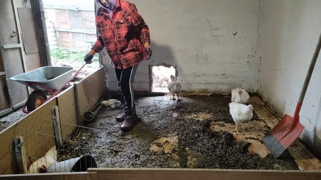 Переезд в Россию/Поездка в Казахстан❤??/Ругаемся с мужем, кто прав/Строим забор, убираем двор смотреть онлайн