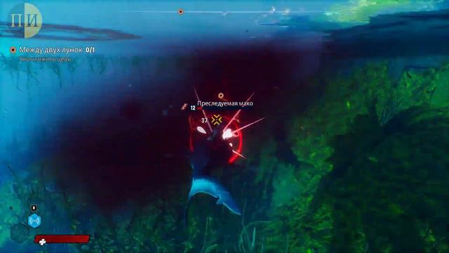 СОМ, СОМА, СОМЫ ▌Maneater #8