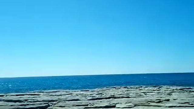 Почему и о ком заботятся мужчины. Канал Мысль смотреть онлайн