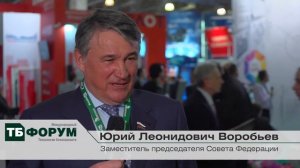 Юрий Воробьев, Совет Федерации