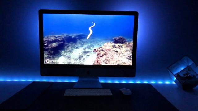Philips Hue Play with Hue Sync смотреть онлайн