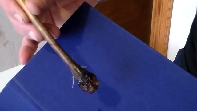 Часть 3 Итоги проращивания через месяц смотреть онлайн