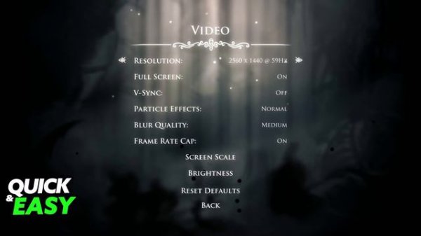How To Change Resolution in Hollow Knight (EASY!)