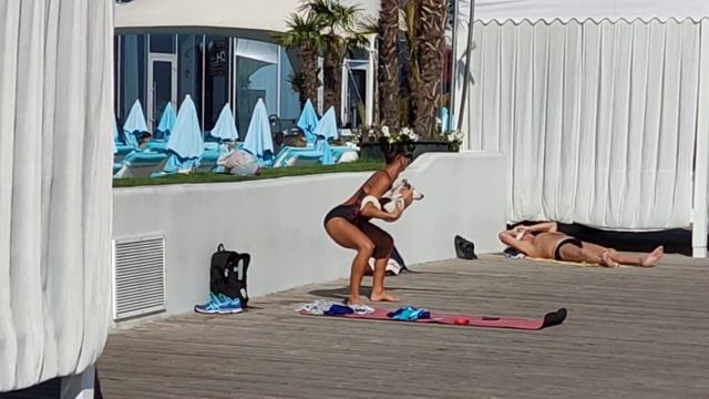 Вот, оказывается, для чего нужна собака смотреть онлайн