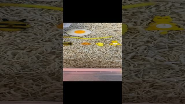 26-05-2024 смотреть онлайн