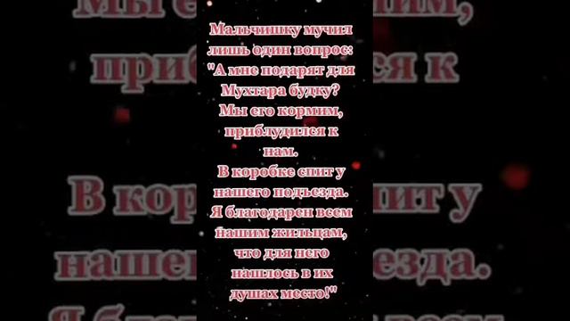 Любите друг друга и близких смотреть онлайн