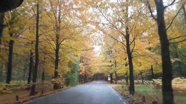 Hilversum - Netherlands Fall season смотреть онлайн