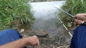 Рыбалка Ставропольский край Пруд Красный пахарь 16.08.21