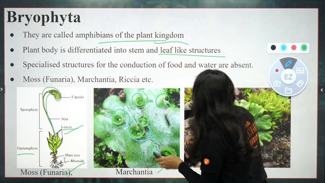 Diversity in Living Organisms L2 | Vedantu Class 9 Biology | NCERT Science Chapter 7 | Plant Kingdo смотреть онлайн