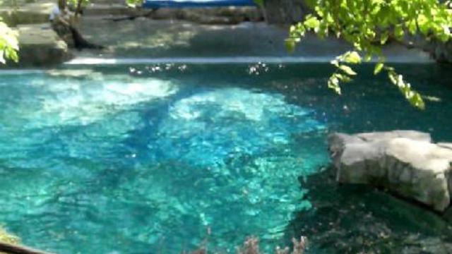 вашингтон. зоо смотреть онлайн