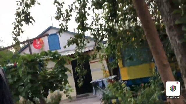 Какие дела вечером что делать с боярышником смотреть онлайн