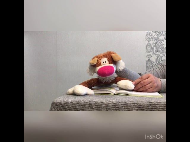 Кот Борька. Как Незнайка хотел стать музыкантом (Н. Носов)0+