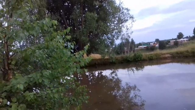 Рыбы в Объективе