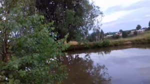 Как поймать лягушку?Очень просто и быстро!Клюнуло даже на ягоду!