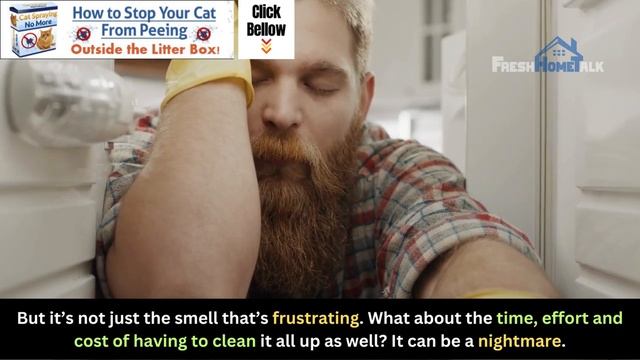 No More Stinky Cat Urine | The Permanent Solution to Smelly Cat Urine | FreshHomeTalk смотреть онлайн