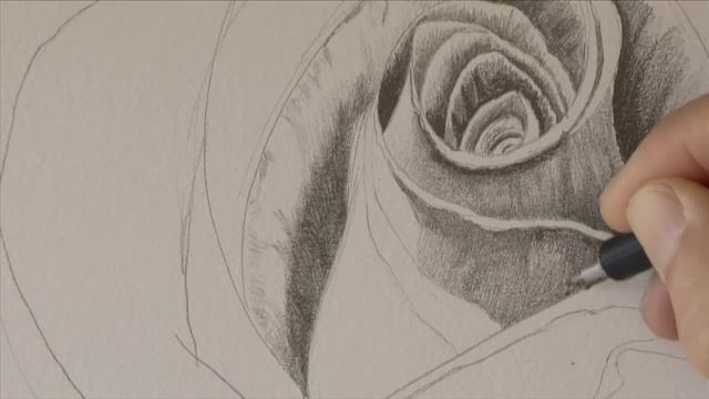Drawing Flowers: How to Draw a Rose With Pencil - Fine Art-Tips. смотреть онлайн