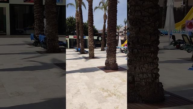 Antalya Side Alva Donna Beach Resort & Spa. Außenanlage смотреть онлайн