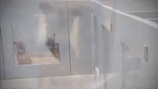 Paneltim® Пластиковые панели и рейки   КОШКИ И СОБАКИ