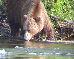 Затерянный мир часть 2