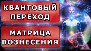 Матрица Гаряева. Квантовый переход. Вознесение. По технологиям Тертышного-Гаряева-Райфа