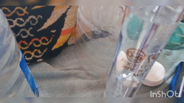 Мацерат из черной смородины, водочка "Black currant", часть вторая, перегон, дегустация. смотреть онлайн