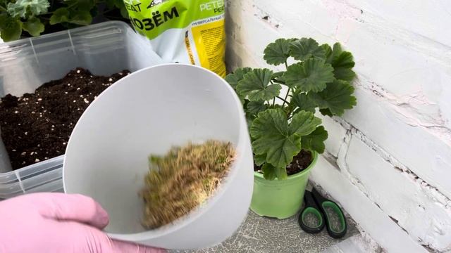 Рецепты семейного ужина от Яны