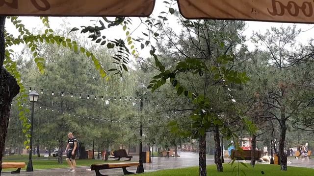Звуки дождя для сна Расслабляющие звуки природы смотреть онлайн
