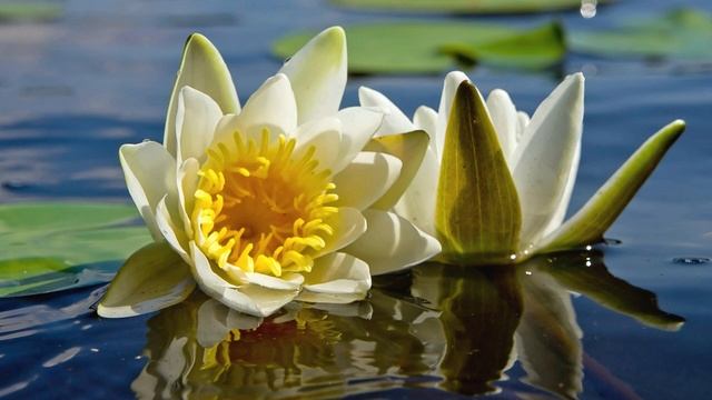 Интересные истории