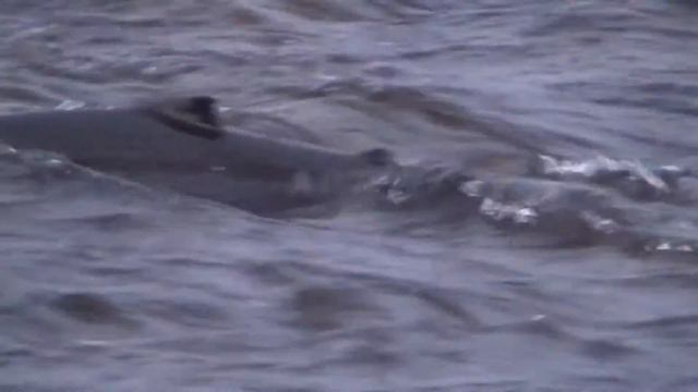 Мой интернет-магазин мушек http://redfly.ru/internet-magazin Цены - ниже рыночных! смотреть онлайн