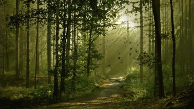 Лес- И. С. Никитин #природа смотреть онлайн