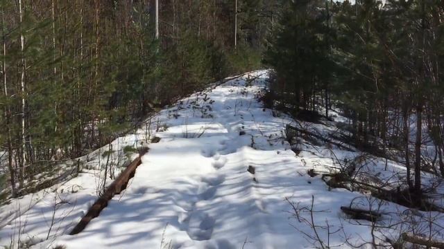 Заброшенная железнодорожная линия 
