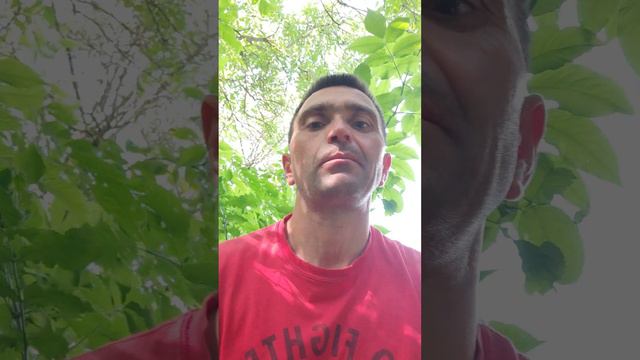 Игры и увлекательные истории