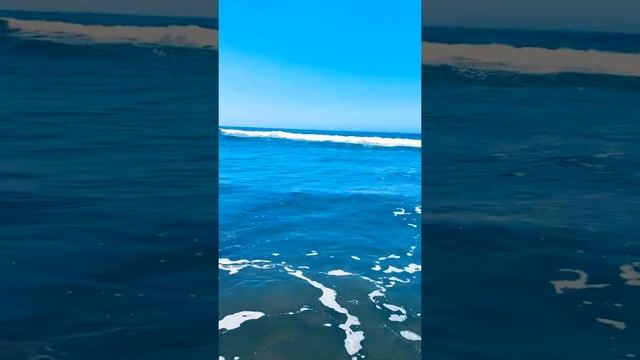 Тихий океан! Берег Калифорнии. Май 2020 смотреть онлайн