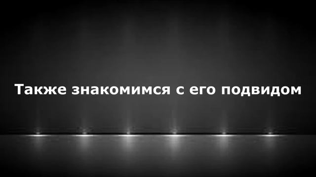 Мозг меньше глаза? смотреть онлайн