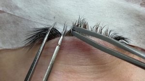 L ИЗГИБ: ПРИНЦИПЫ РАБОТЫ / наращивание ресниц двойной объем 2D / ультратонкие ресницы 0.07