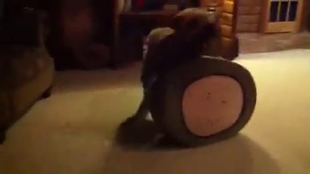 "Nail Time!!" смотреть онлайн