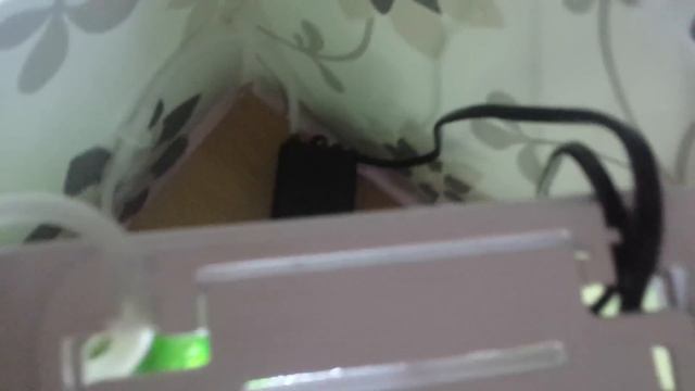 My brand new Deco O Mini aquarium! смотреть онлайн