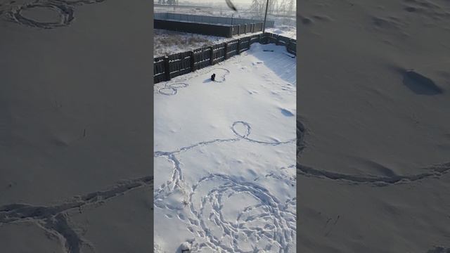 кто знает к чему это ? смотреть онлайн