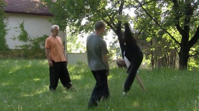 Dmitry Chernosvitov - Martial Artist - Czech Republic смотреть онлайн