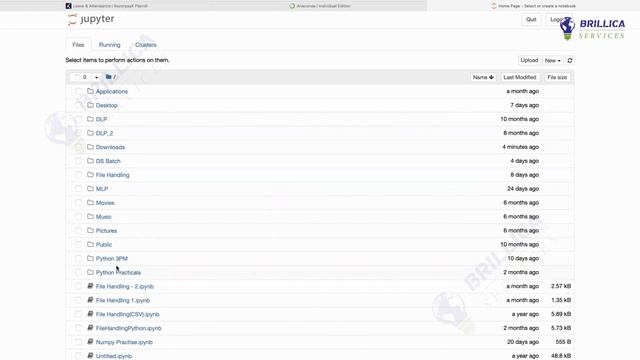 Python Jupyter Notebook Tutorial: Introduction, Setup, and Overview by Brillica Services Trainer смотреть онлайн