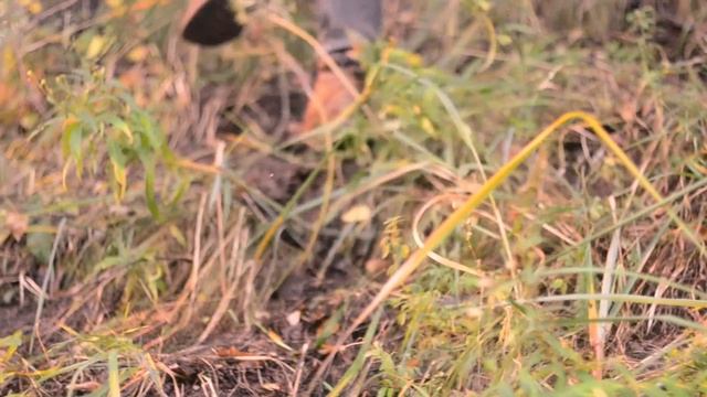 Преуспеть в Любимом Деле! смотреть онлайн