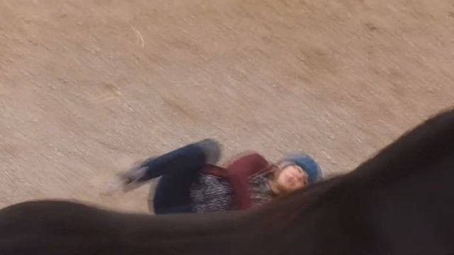 «Литературный зоопарк» – обзор книг о животных. (12+) смотреть онлайн