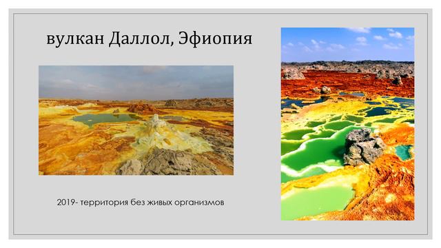 Лекция 13 Астробиология смотреть онлайн