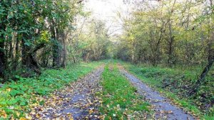 Самая трогательная чеченская песня 2022