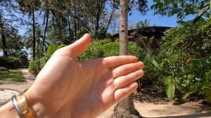 Обзор отеля Renaissance Phuket Resort & Spa на Пхукете. Таиланд 2022